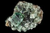 Fluorite Crystal Cluster - Rogerley Mine #106118-1